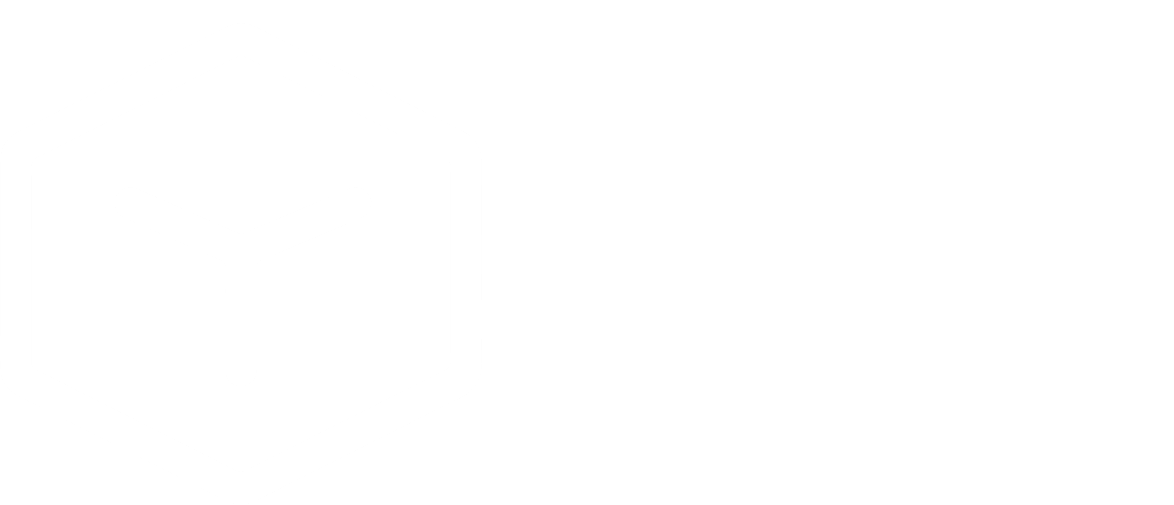 RE-ZINA